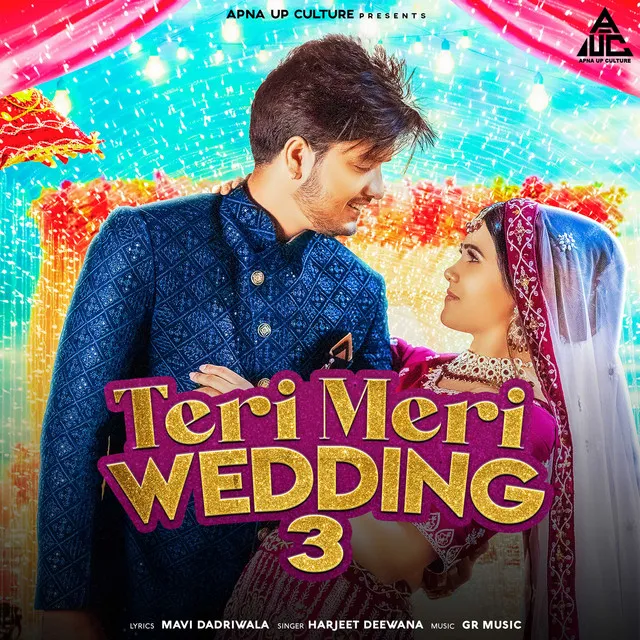 Teri Meri Wedding 3