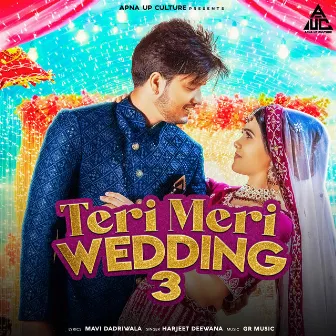 Teri Meri Wedding 3 by Mavi Dadri Wala