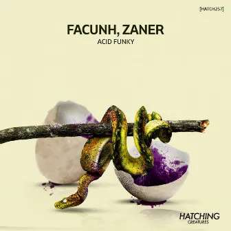 Acid Funky by Facunh