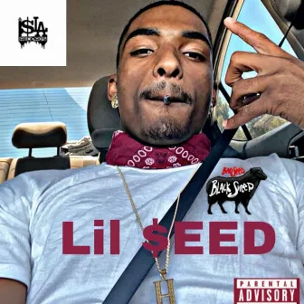 Feel My Pain by Lil Seed