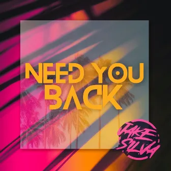 Need You Back by Jake Silva