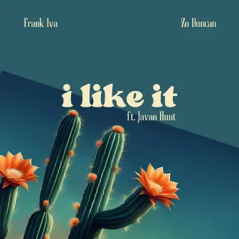 I Like It by Frank Iva