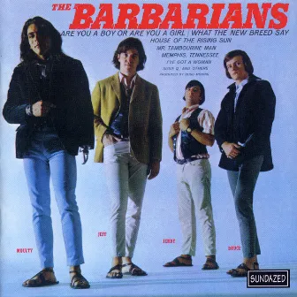 Are You A Boy Or Are You A Girl? by The Barbarians