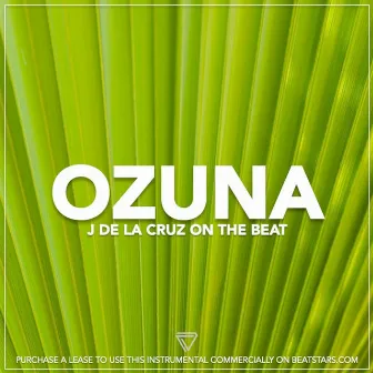 Ozuna (Instrumental) by J De La Cruz