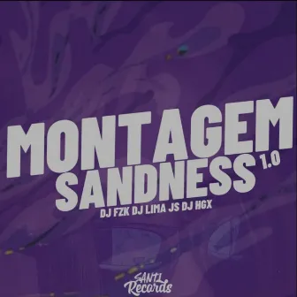 Montagem Sandness 1.0 (Acoustic) by DJ FZK