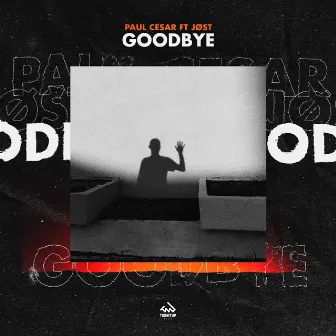 Goodbye by Paul Cesar