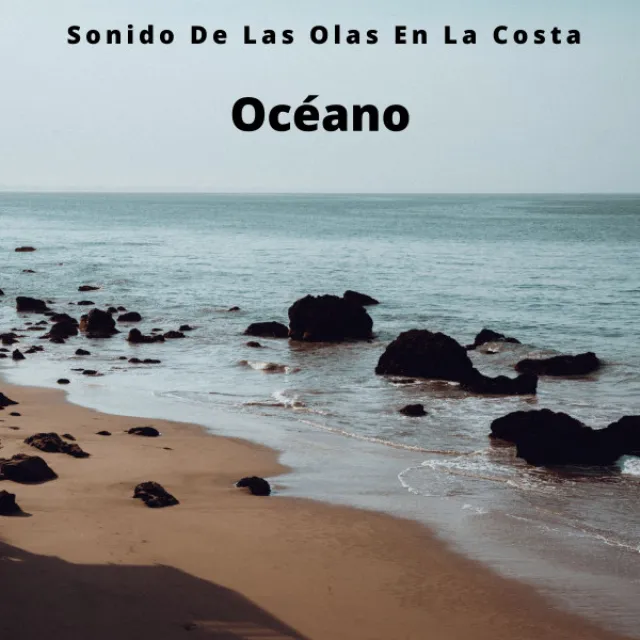 Océano: Sonido De Las Olas En La Costa