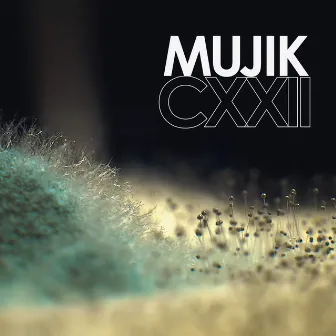 CCXXII by Mujik