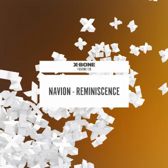 Reminiscence by Navion