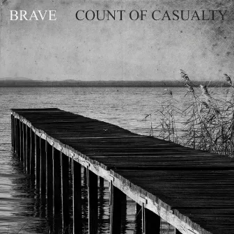 Count of Casualty by Brave