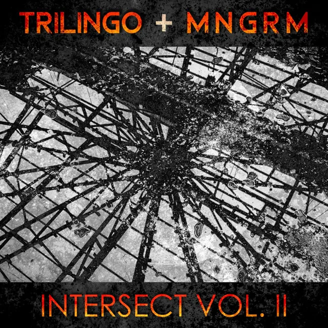 Rise - Trilingo Remix