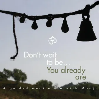 Don't Wait to Be, You Already Are by Mooji