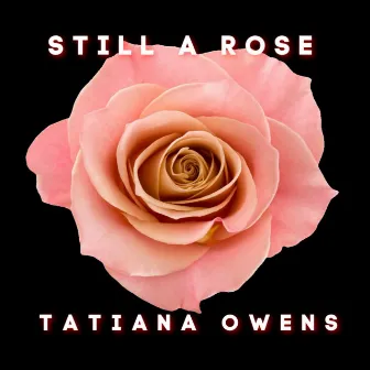 Still a Rose by Tatiana Owens