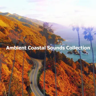 Ambient Coastal Sounds Collection by California Coast Sound Recordings