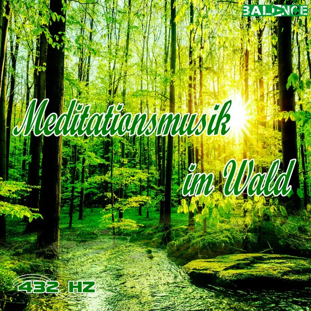 Meditationsmusik im Wald Step 1