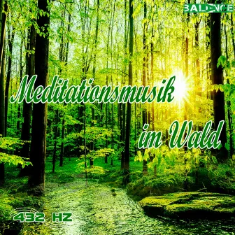 Meditationsmusik im Wald by 432 HZ Musik