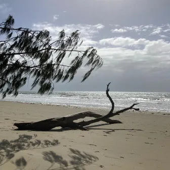 Port Douglas by Waned