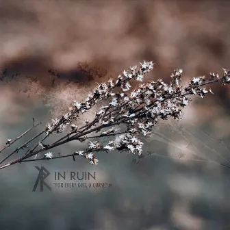 For Every Gift, a Curse by In Ruin