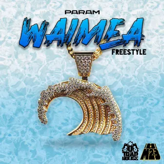 Waimea Freestyle by Param