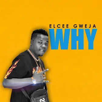 Why by Elcee Gweja