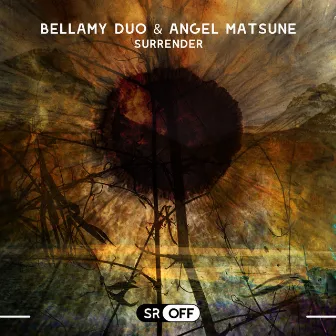 Surrender by Bellamy Duo