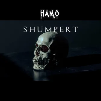 Shumpert by Hamo