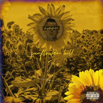 Sunflower Hill by TripTheFoolie