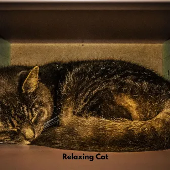 Relaxing Cat by Cat Musik Jukebox