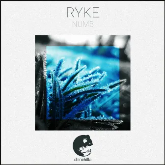 Numb by Ryke