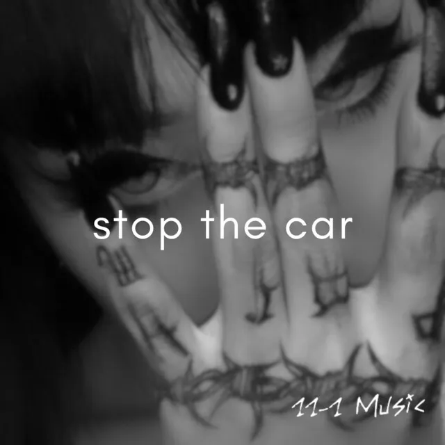 stop the car