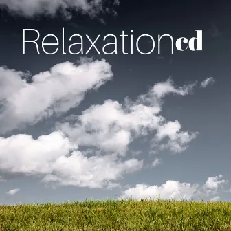 Relaxation CD - Musique Relaxante pour Massage Assis, Méditation, Yoga, Sommeil by Unknown Artist