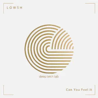 Can You Feel It by LOWSH