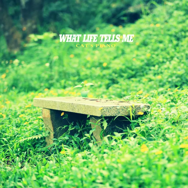 What life tells me