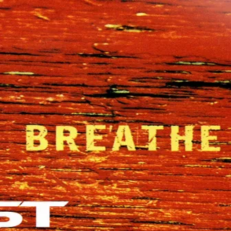 Breathe Dub by Chmst