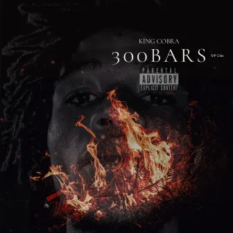 300Bars by King Cobra