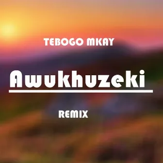 Awukhuzeki (dj stokie Remix) by Tebogo Mkay