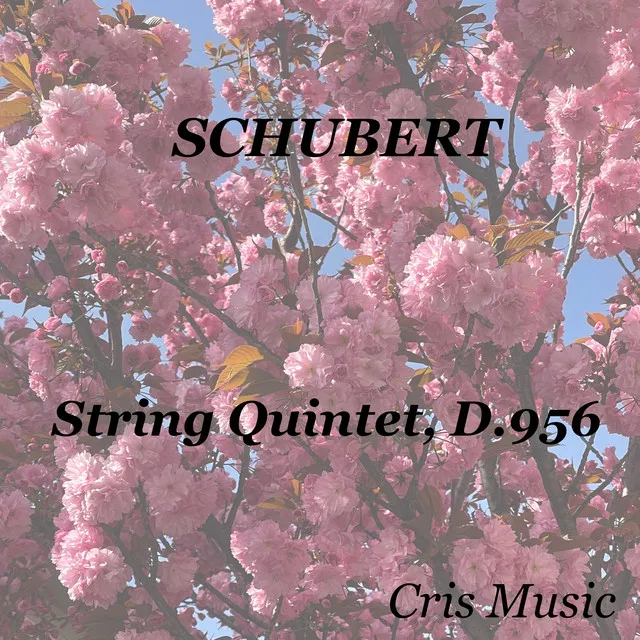 String Quintet in C Major, D.956: IV. Allegretto — Più Allegro