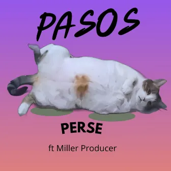 PASOS by Perse