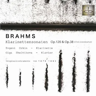 Brahms: Klarinettensonaten, Op.120 und Op.38: Gespielt auf historischen Instrumenten by Olga Zheltikova