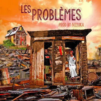 Les problèmes by Loïc Emboulé