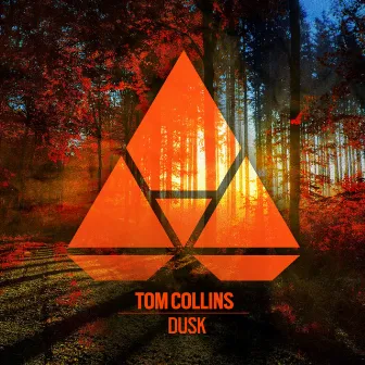 Dusk by Tom Collins