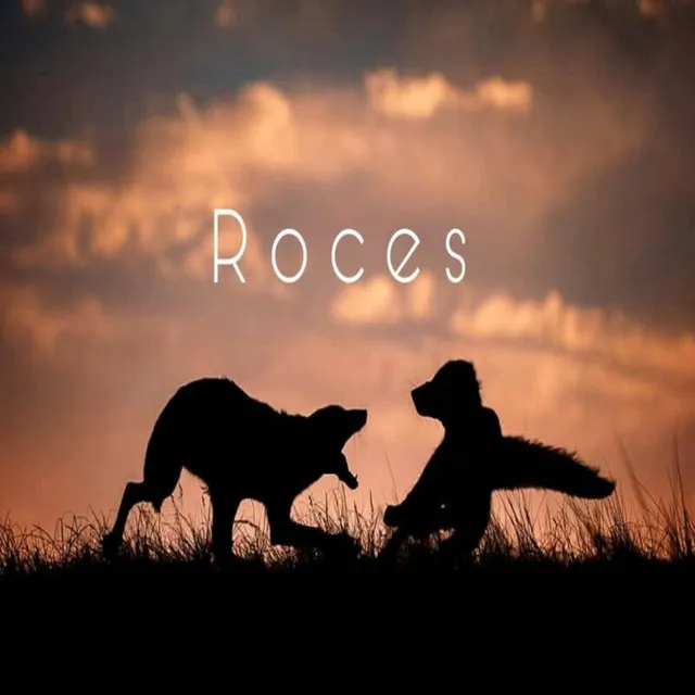 Roces