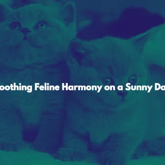 Soothing Feline Harmony on a Sunny Day by Book Shop Music