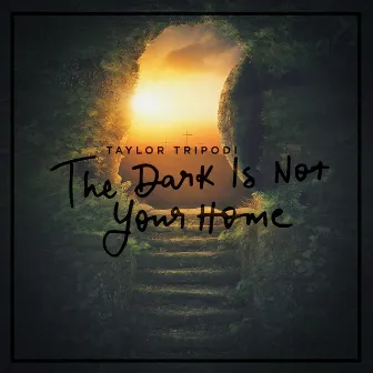 The Dark Is Not Your Home by Taylor Tripodi