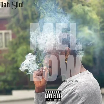 MELLOW by Dali $oul