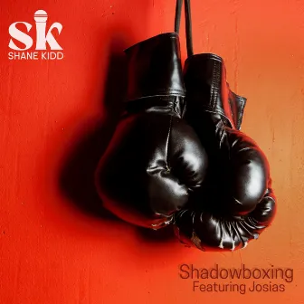 Shadowboxing by Shane Kidd