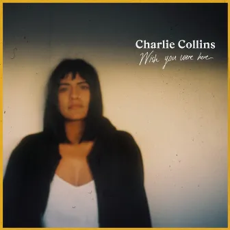 Wish You Were Here by Charlie Collins