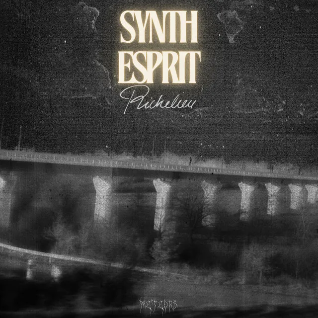 Synth Esprit - Sweat Dreams Edit