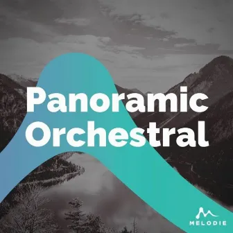 Panoramic Orchestral by Cookie Cartel