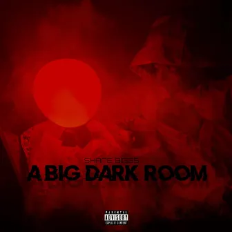 A Big Dark Room by Shane Biggs